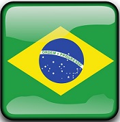 brazil flag button